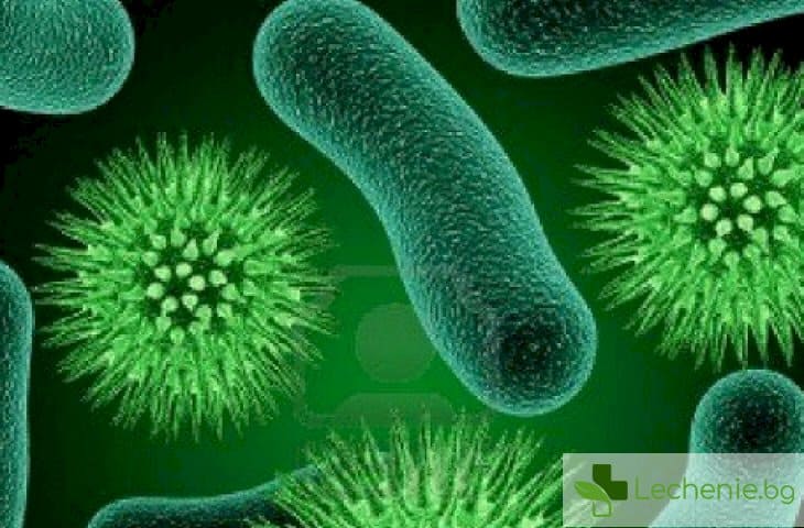 Какво отличава бактериите от вирусите