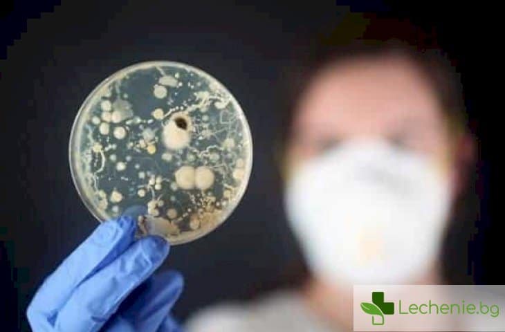 Условно-патогенни бактерии - какво представляват и трябва ли да се страхуваме
