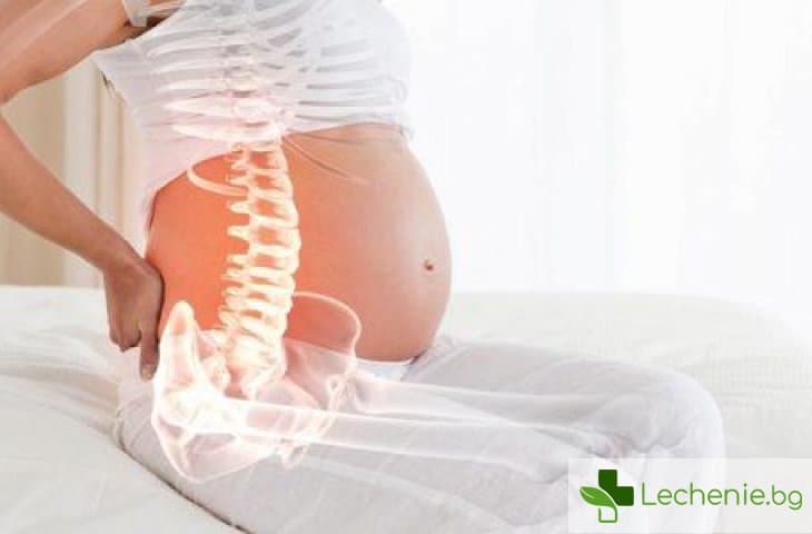 Как правилно да подготвим гърба и органите на малкия таз за бременността