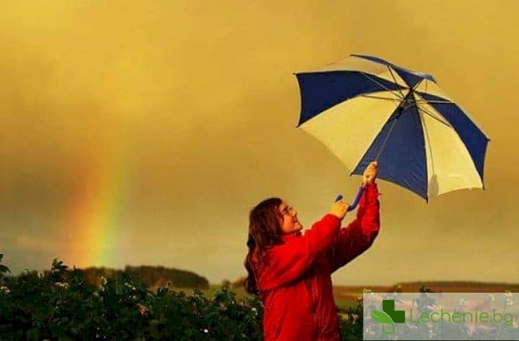 Под купола - какъв чадър ще ви предпази от силното лятно слънце и дъжд