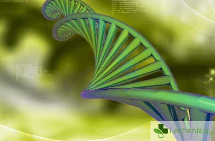 4 сериозни причини защо да разшифровате вашата ДНК