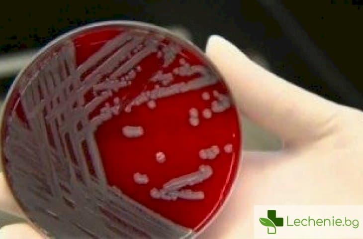 Мистериозна бактериална инфекция убива хора в Уисконсин
