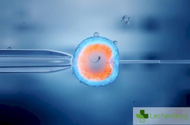 Култивиране на ембриони - бременност след многобройни неуспешни опити инвитро
