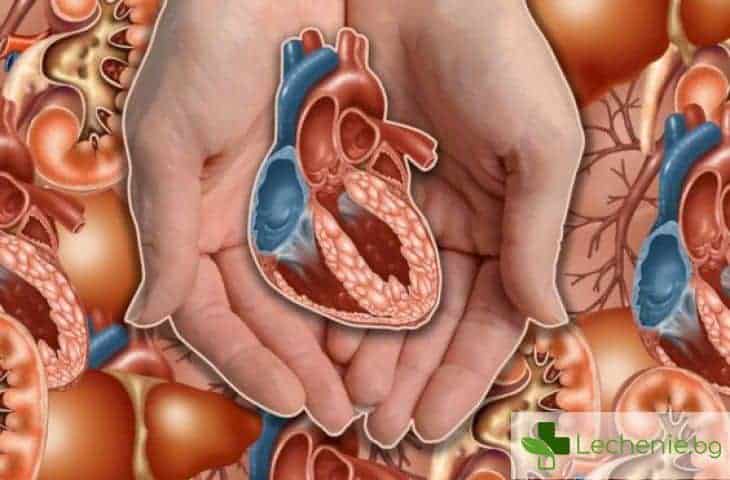 Сърдечни дела - на какво ще бъдат способни кардиохирурзите в бъдеще