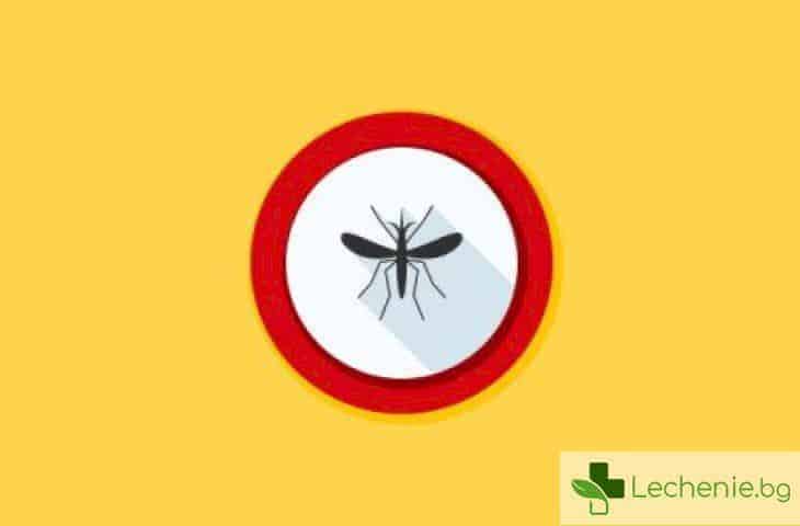 Топ 12 средства, които предотвратяват чесането на ухапаното от комари