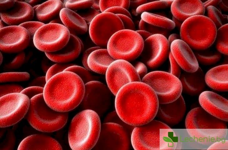 Топ 7 неизвестни досега факта за кръвта