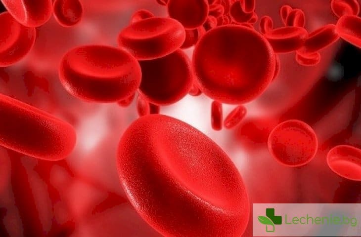 Какъв е произходът на кръвните групи