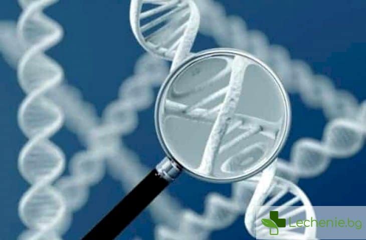 Фармакогенетика - ето каква е връзката между лекарствата и гените