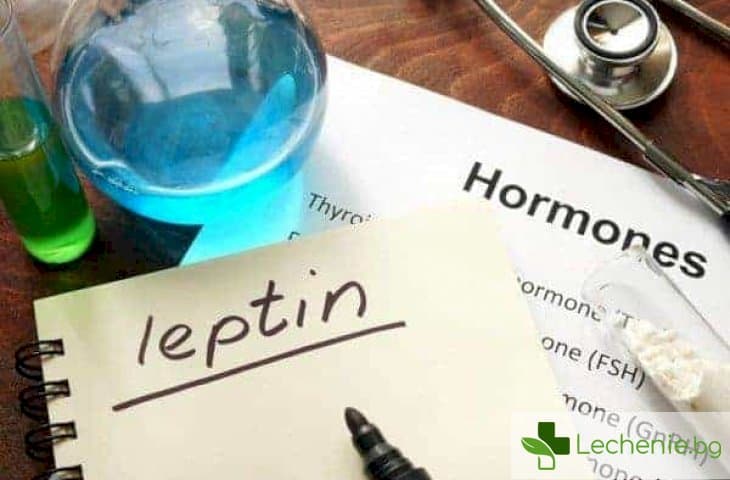Хормон на ситостта: лептин - как влияе на телесните мазнини и на метаболизма