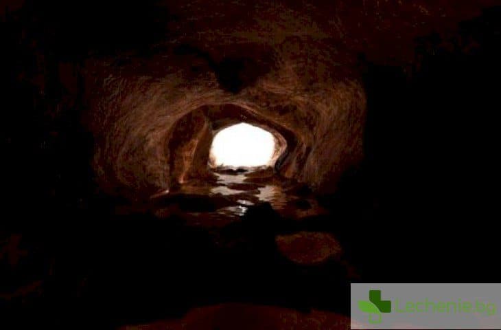 Пещерна треска - какви смъртоносни инфекции ни очакват в подземните галерии