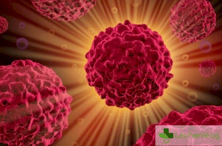 Случайни грешки при делене на клетките - основна причина за развитие на рак