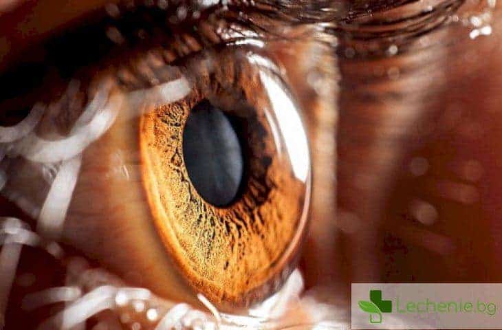 Разработиха изкуствена ретина, която може да върне зрението на милиони хора