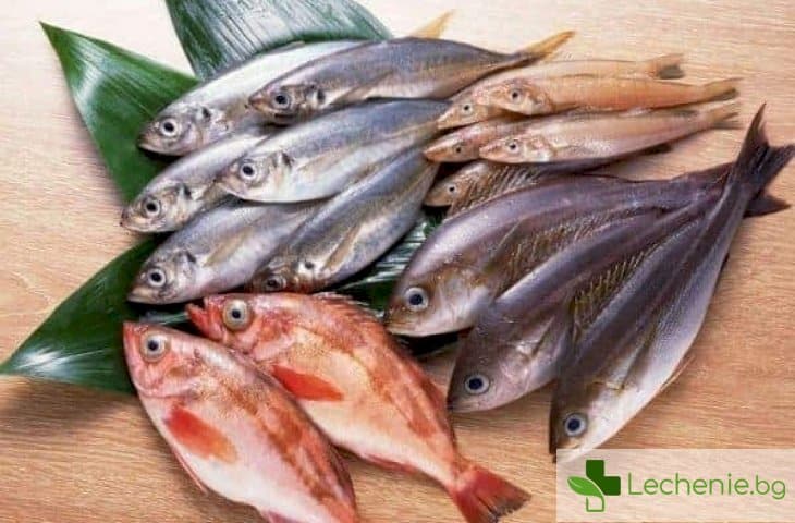 Риби-убийци - топ 5 вида риби, които НЕ трябва да ядем