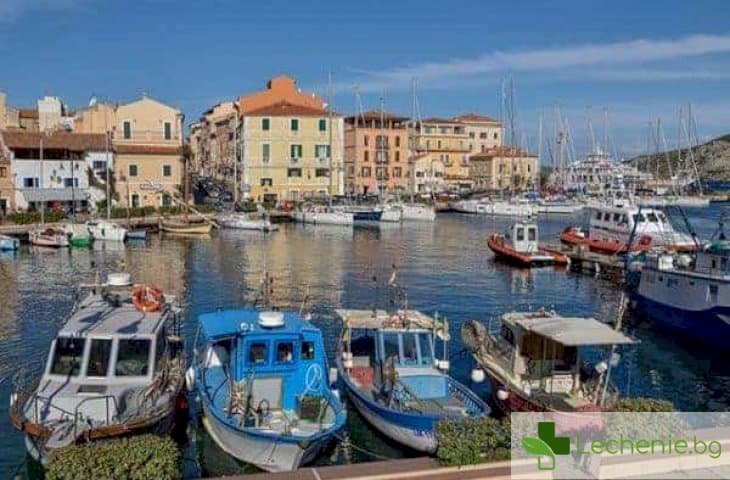 Тайната на Сардиния - с какво се хранят на острова, където мъжете живеят над 100 години