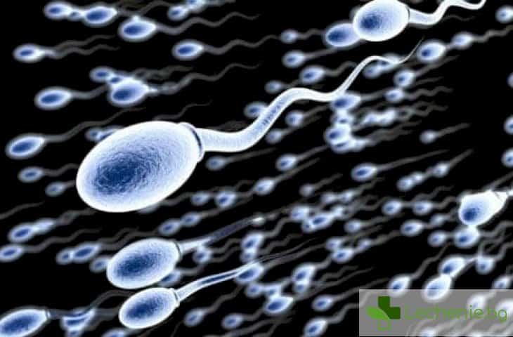 3 странни приложения на спермата, за които вероятно не знаете