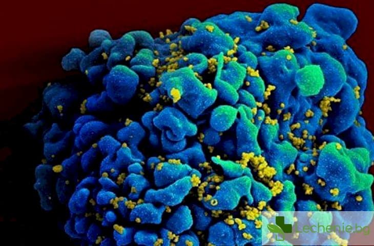 Вирусът на СПИН-а подпомага лечението на злокачествени заболявания?