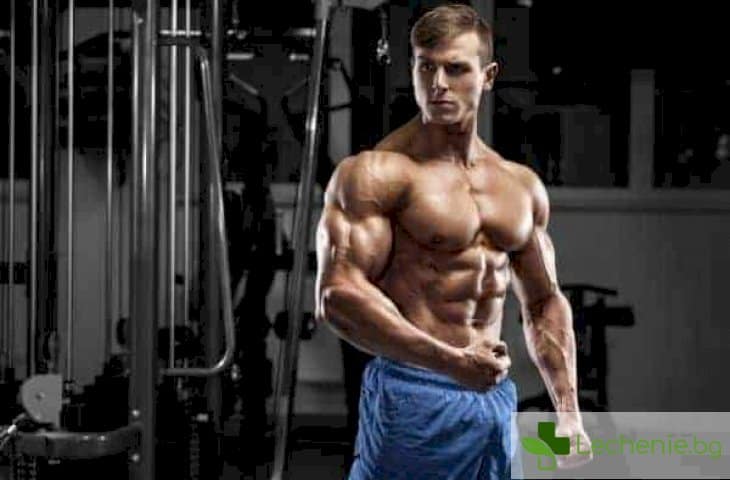 Типове мъжко телосложение - особености на хранене и тренировки
