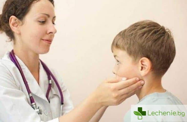 Увеличение на тимуса при деца - как влияе на имунитета