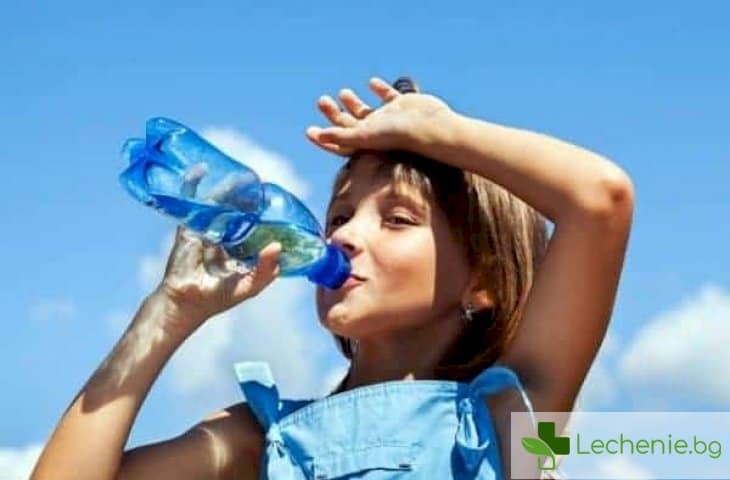Вода, сок или мляко - какво е полезно и кое е вредно да се пие при горещо време