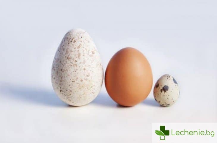 Топ 6 вида яйца, които можем да ядем всеки ден
