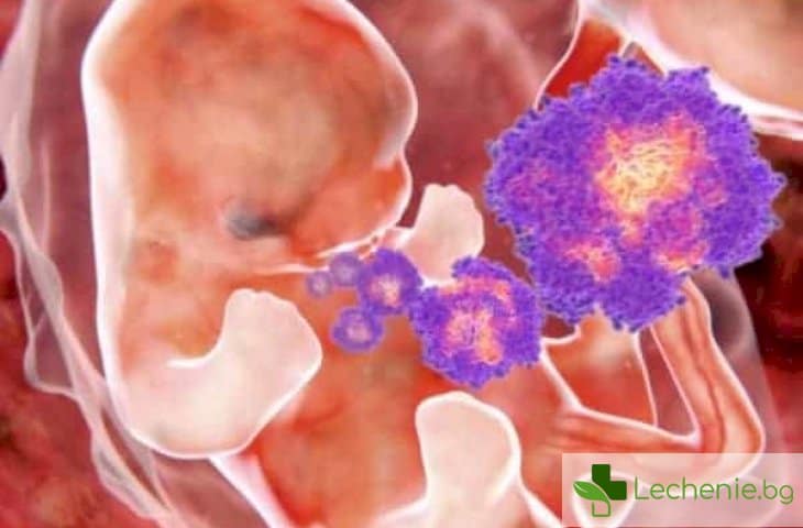 Откриха антитела, които пазят бъдещата майка и бебето от Зика