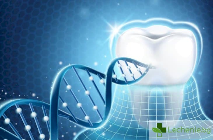 Лекуват зъбите по напълно нов начин - въздействат на ниво гени