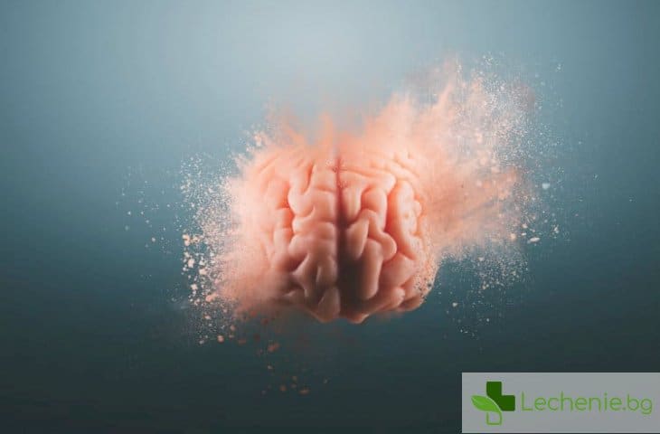 Микросън - най-опасният недостатък на мозъка