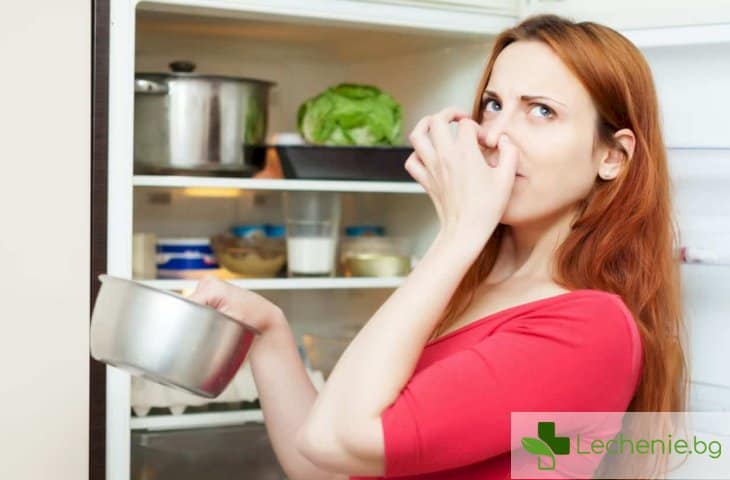 Топ 9 лоши миризми у дома, които са наистина опасни за здравето