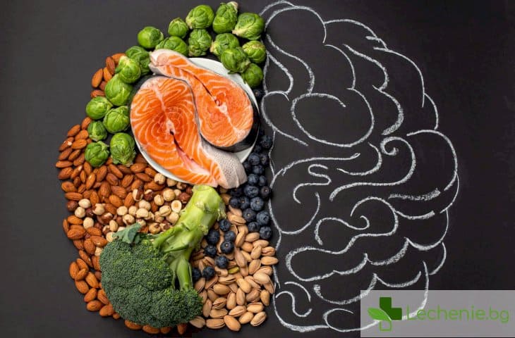 Полезни растителни продукти за мозъка