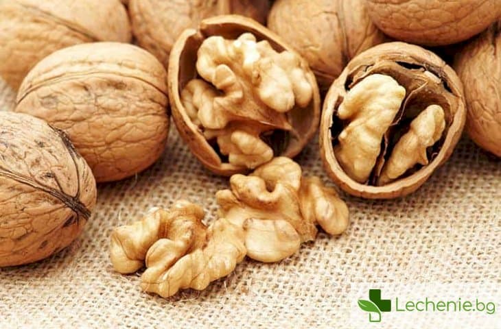 Орехите най-полезните за сваляне на килограми ядки