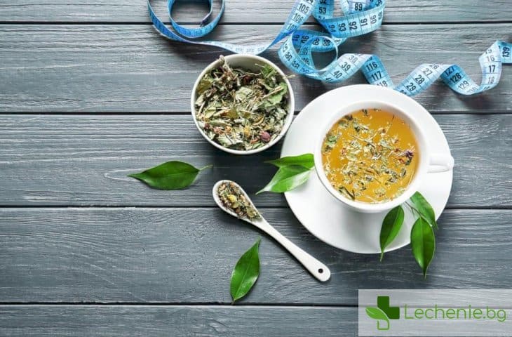 Чайове за отслабване - топ 6 ефективни срещу мазнините