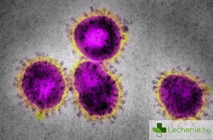 Коронавирусът обявен официално за пандемия от ръководителят на СЗО