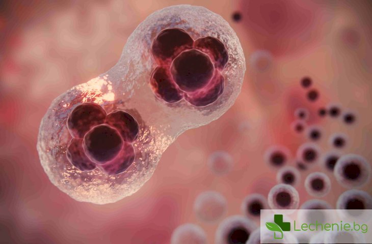 Същност на некрозата