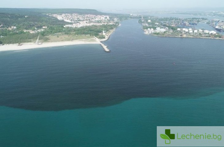 Фекална вълна от спукана тръба може да залее морската столица Варна