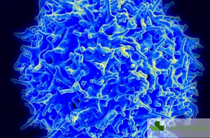 Имплант „хваща в капан” разпространяващите се ракови клетки