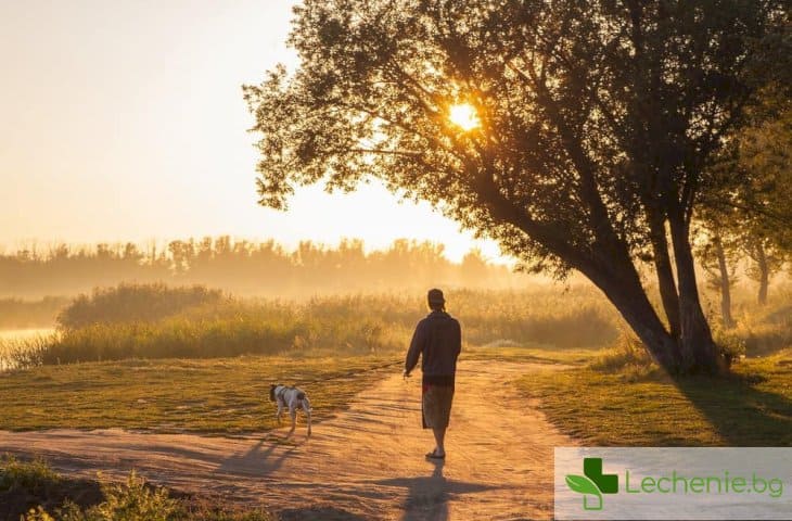 Как сутрешната разходка подобрява здравето – топ 10 научни факта