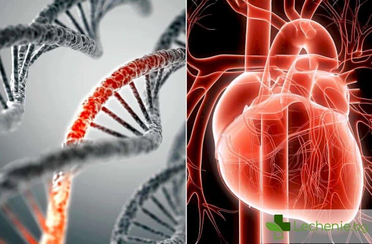 Генетичните тестове предсказват точно дали има риск от инфаркт