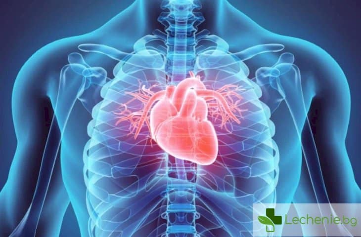 Формата от значение - сърце-круша здраво, а като ябълка - признак на болест