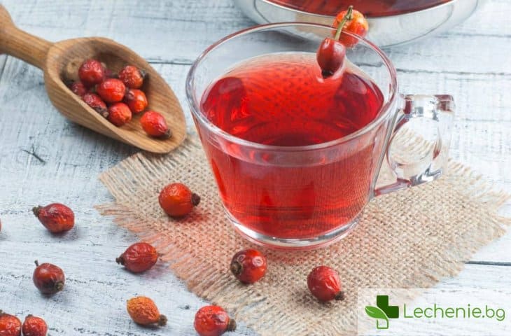 Шипка и мента - топ 9 най-полезни вида чай за здравето