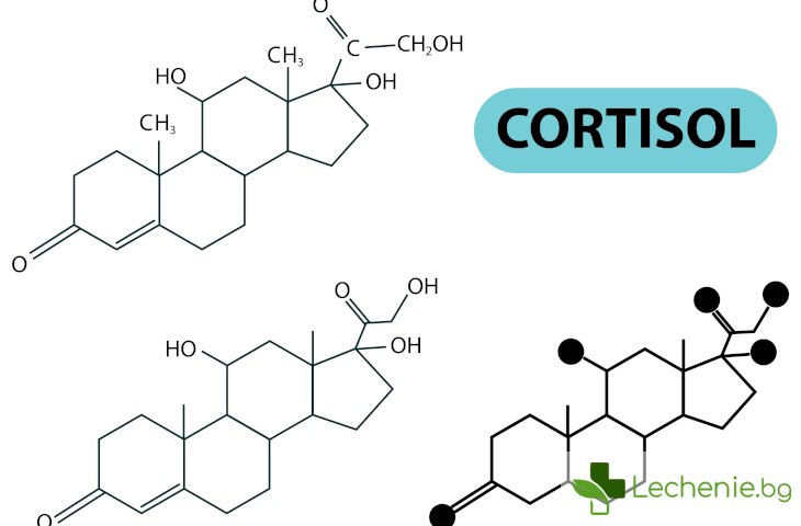 Синдром на Кушинг- значение