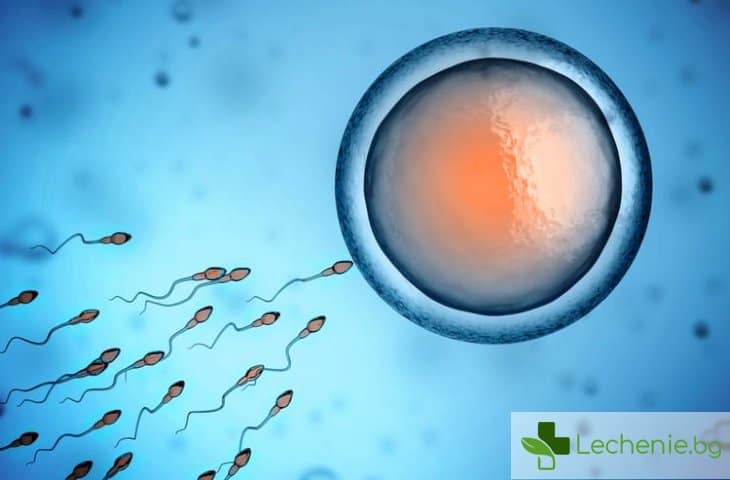 Влошаване на качеството на спермата при еякулация - кога е възможно