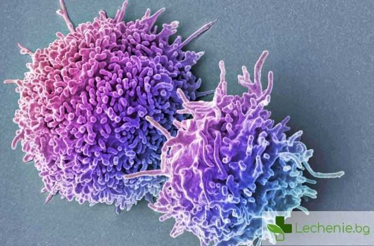 Със суперклетки борят сериозни генетични заболявания при децата