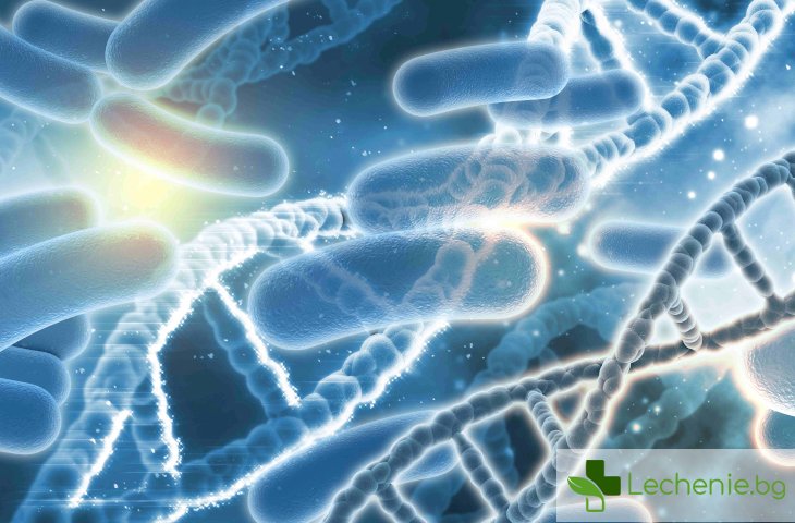 Стрептококи в гърлото