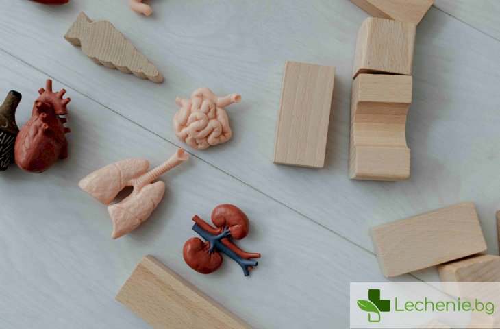 Заболявания, свързани с тежест в гърдите