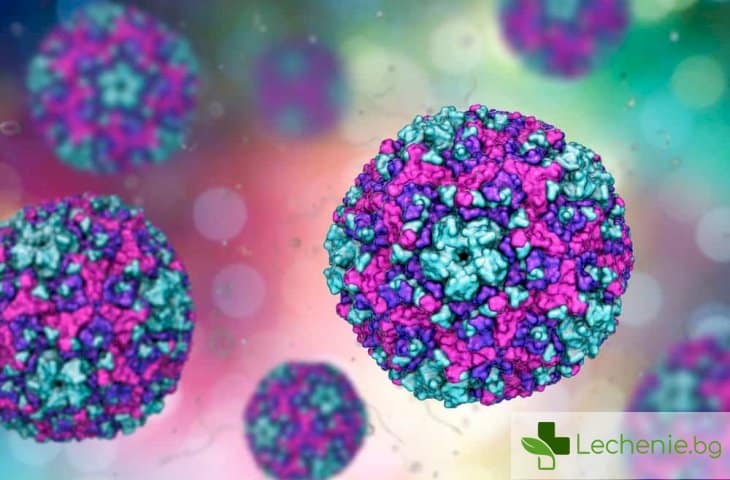Ваксина против Коксаки вируси пази от автоимунен диабет