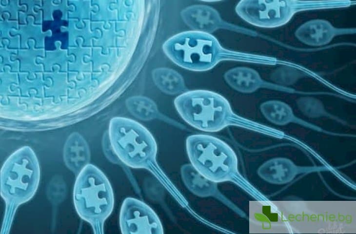 Как яйцеклетката избира сперма на кой мъж да допусне