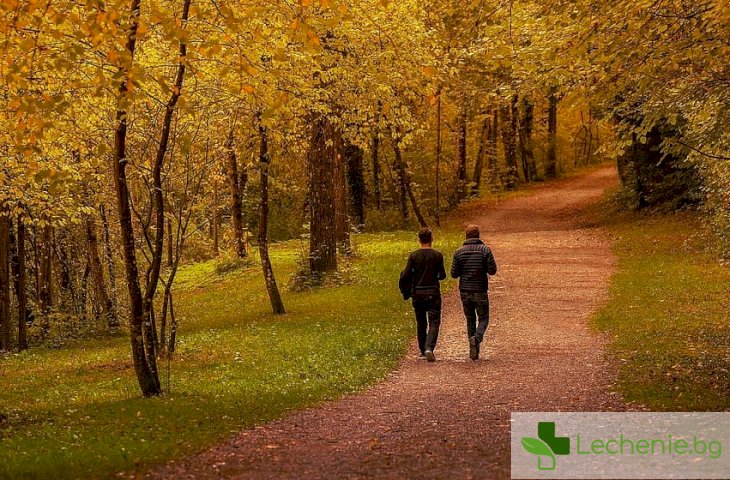 Изследванията показват, че разходките са ключа към крепкото здраве